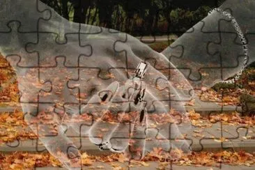 imagens