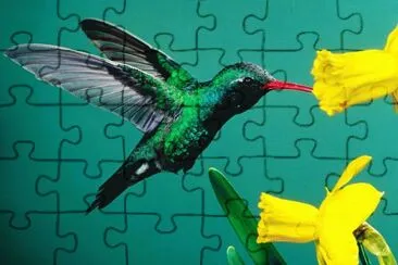 imagens jigsaw puzzle