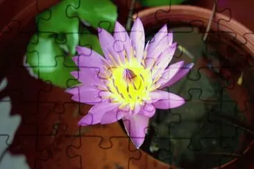 031603 jigsaw puzzle
