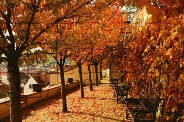 otoÃ±o