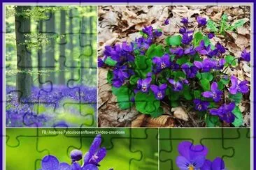 פאזל של flor