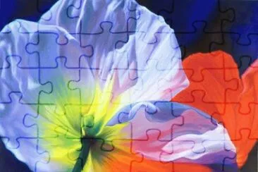 Amazing jigsaw puzzle