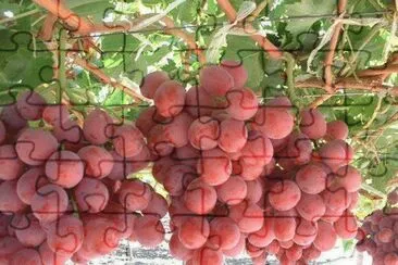 imagens jigsaw puzzle