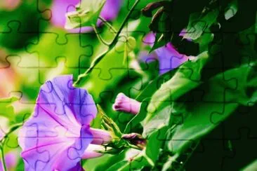 imagens jigsaw puzzle