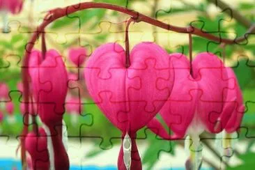 imagens jigsaw puzzle