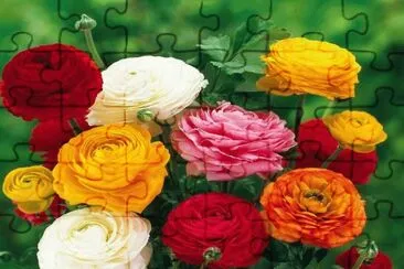 imagens jigsaw puzzle
