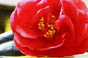 27 jigsaw puzzle