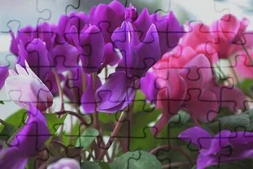 34 jigsaw puzzle