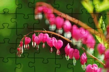 48 jigsaw puzzle