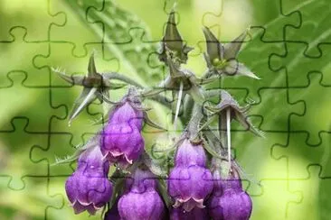 פאזל של 59