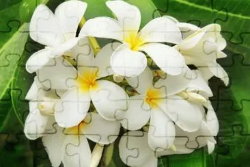 64 jigsaw puzzle