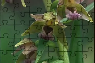 73 jigsaw puzzle