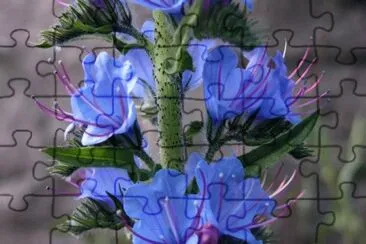 78 jigsaw puzzle