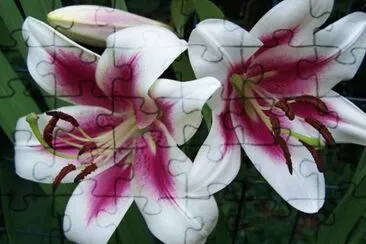 102 jigsaw puzzle
