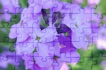 111