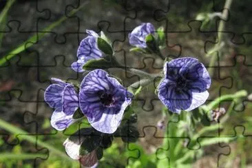138 jigsaw puzzle