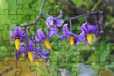 141