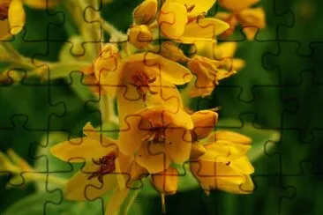 143 jigsaw puzzle