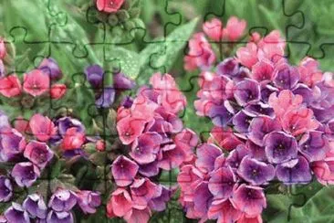 146 jigsaw puzzle