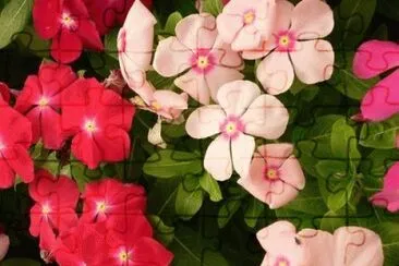 147 jigsaw puzzle
