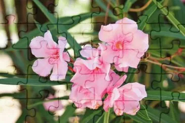 149 jigsaw puzzle