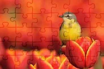 166