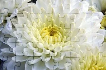 167 jigsaw puzzle