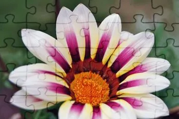 169