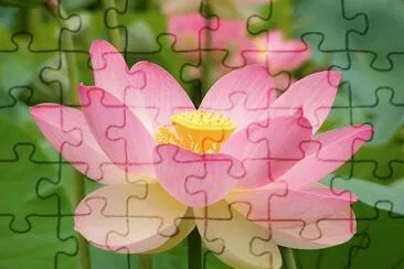 175 jigsaw puzzle
