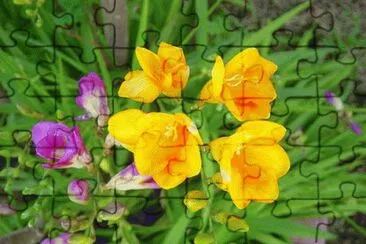 228 jigsaw puzzle