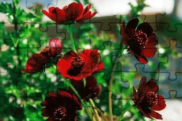 imagens jigsaw puzzle