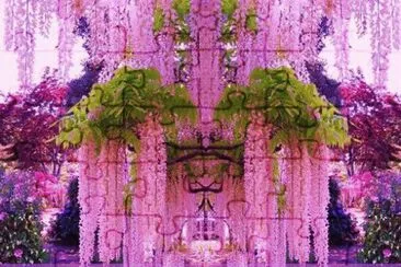 Wisteria Garden-Japan jigsaw puzzle