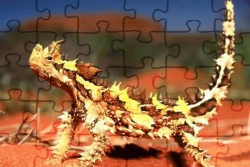 diavolo spinoso jigsaw puzzle