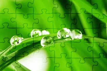 rocio jigsaw puzzle