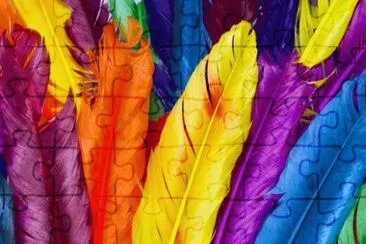Amazing Colorful Feathers jigsaw puzzle