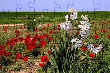 ×¤×¨×—×™× jigsaw puzzle