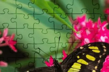 multicolor jigsaw puzzle