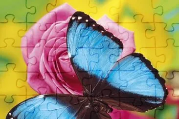 multicolor jigsaw puzzle