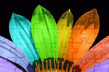multicolor jigsaw puzzle