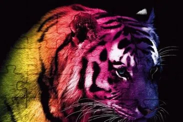 multicolor jigsaw puzzle