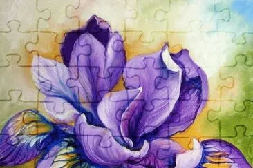Purple Iris