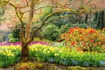 paisajes jigsaw puzzle