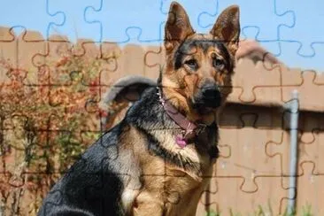 imagens jigsaw puzzle