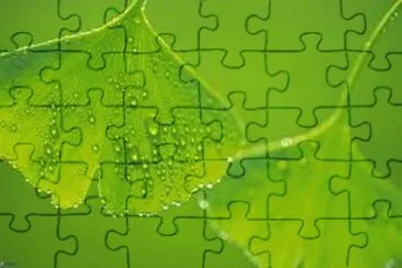 rocio jigsaw puzzle