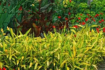 jardÃ­n jigsaw puzzle