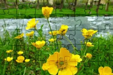  jigsaw puzzle
