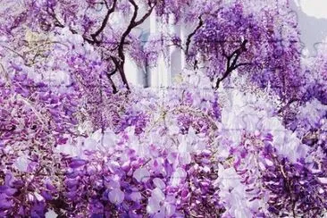 imagens jigsaw puzzle