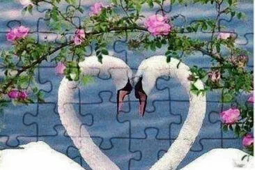 פאזל של amore