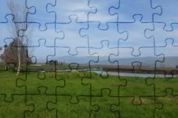  jigsaw puzzle