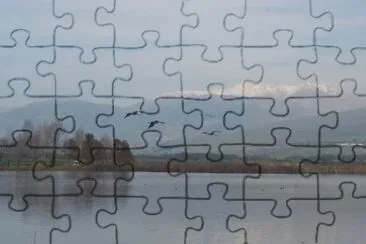hachula israel jigsaw puzzle